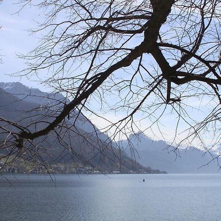 Ferienwohnungen Walk Gmunden Zewnętrze zdjęcie